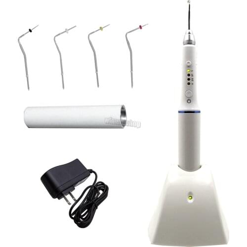 Double Charging Hot Melt Filling System Dental Cordless Teether Obturation System Endo Heater with 4 tips