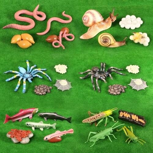Simulation Action Figure Toys Animal Grown Cycle Salmon, Snails, Earthworms Life Cycle Figurine Animals Model Learn Teaching Toy