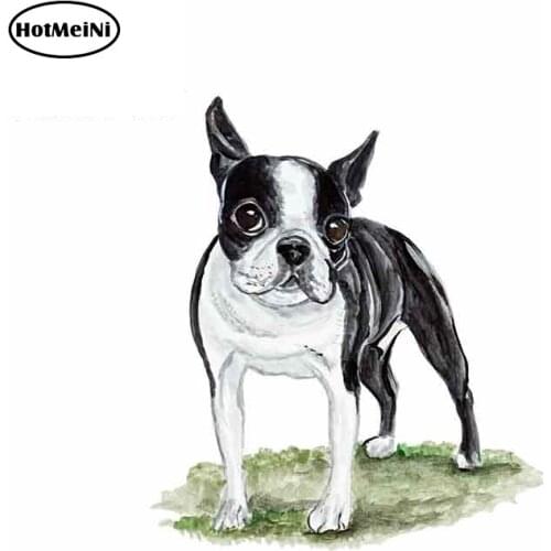 HotMeiNi 13cm x 11.5cm for Boston Terrier Dog Graphics Car Stickers Car Body Motorcycle Laptop Auto Cute Decal Decoration