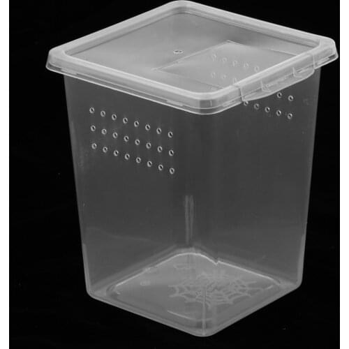 Plastic Insect Turtle Spider Habitat Feeding Box Container 8x8x11cm