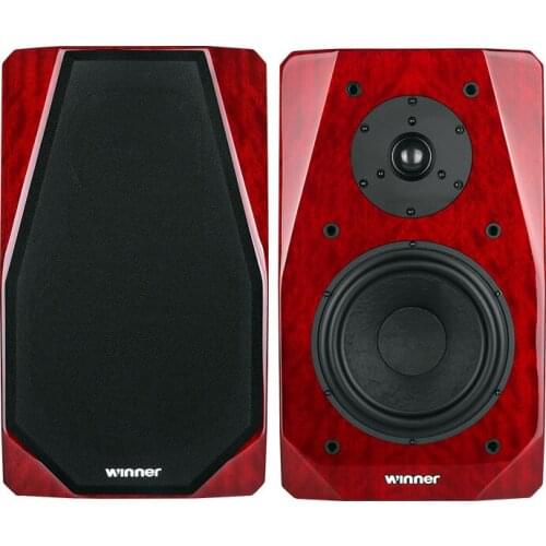 Winner/TD-9 Passive Hi-end Bookshelf speaker 2.0 channel 8 ohm/100W/ 85dB/mW HIFI speaker