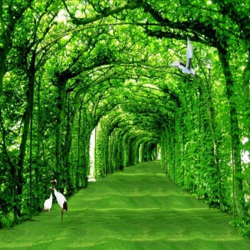 Dropshipping Colomac Green Wallpaper Beautiful Woods Landscape Arch Passageway Wall Wallpaper Wall Mural 3d Carta Da Parati