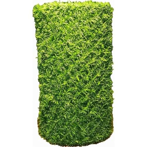 Lawn Fence Garden Fences