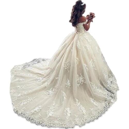 Sky Blue Flower Girls Dress Lace Appliques Tulle Floor Length Backless First Communion fluffy party Dresses