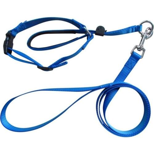 Dog Leash Small Dogs Harness Pet Leash Collar Adjustable Nylon Running Puppy Breast-band Dog Headcollar Pet Accessories