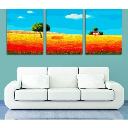 Three-picture combination Max Size 60x75cmx3 Frameless painting by numbers DIY oil painting gift P053