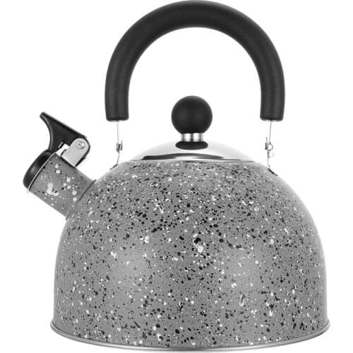 Stainless Steel Whistle Tea Kettle Water Boiling Kettle Teapot With Heat-Proof Handle For Gas Stove Induction Cooker