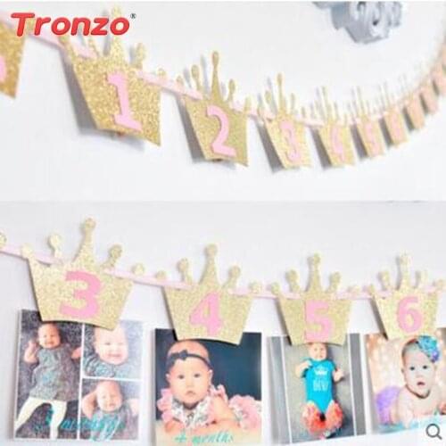 Tronzo 1Set Baby Shower Photo Banner Princess First Birthday Monthly Blue Pink And Gold Crown Star Photo Bunting Banner Flag