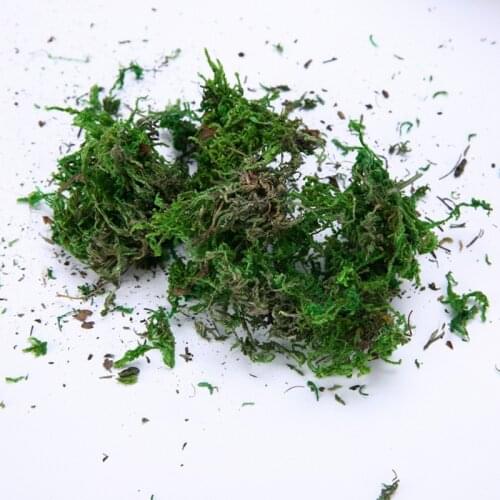 40g/lot artificial flower green moss simulation plant turf decoration flower arrangement decoration material DIY potted moss