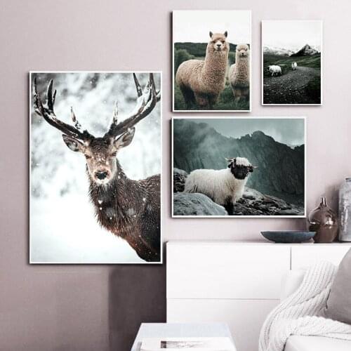 Alpaca Llama Sheep Animal Poster Nordic Style CanvasPainting Print Landscape Wall Art Picture for Modern Living Room Decoration