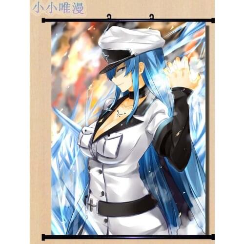 Coscase Japanese Anime Akame ga KILL! Chelsea & Sheele & Mine Home Decor Wall Scroll Poster Decorative Pictures