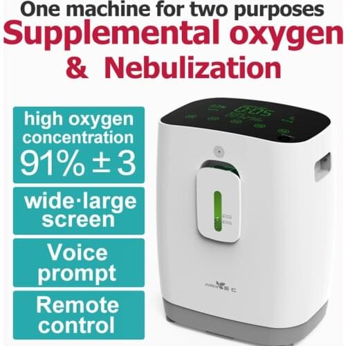 1L oxygen generator oxygen machine DZ-1W mini voice control oxygen machine portable small touch screen with remote control 220v