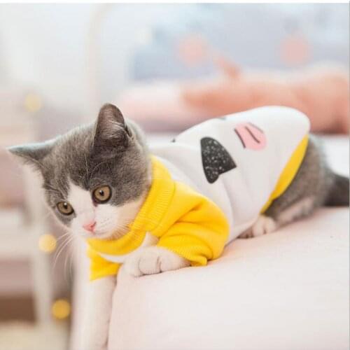 Fashion Cat Clothes Lovely Casual Pet Coats Warm Comfortable Jacket Hoodies Spring Summer Rabbit Animals Dog Pets Clothing