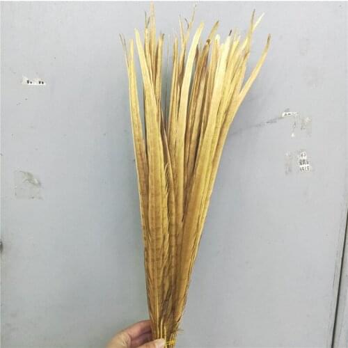 100pcs/lot Natural Pheasant Tail Feathers 50-55cm/20-22 Inches Centerpieces for Wedding Decorations Gold Feather Plumes