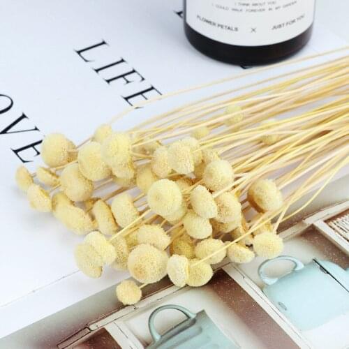 2pcs delivery Dried flowers natural button chrysanthemum eternal bouquet gift box ins shooting props valentines day flower wall