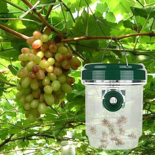 Fruit Fly Catcher Pest Fly Trap Non-Toxic Insect Repellents Insect Control for Home Farm Orchard Solar LED Insect Catcher Tool