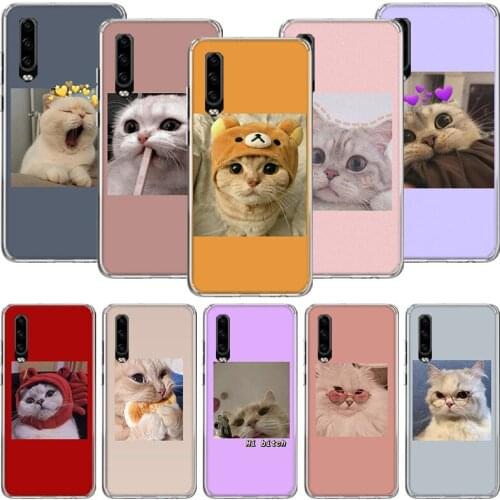 Super Lovely Cat Kitten Cute Funny Phone Case For Huawei P30 P40 P20 P10 Mate 20 10 30 Lite Pro P Smart Z Plus Printing Cover Co