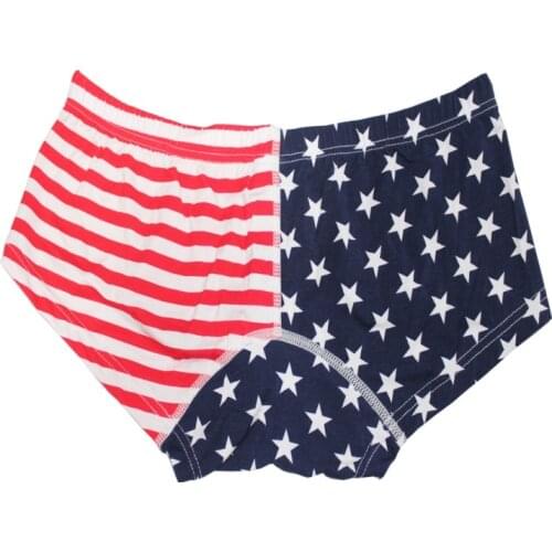 Sexy Mens Panties Size S M L XL USA Flag Striped Stars Gay Underwear Printed Mens Briefs Bikini Male