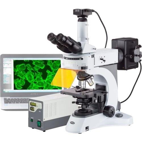 AmScope 40X-1000X Upright Fluorescence Microscope with Rotating Multi-filter Turret + 20MP Camera FM820T-20MBI3
