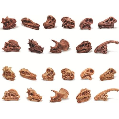 Vivid Dinosaur Skull Model Skeleton Home Office Decor Figure Shelf Display