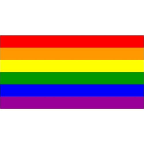 LGBT Rainbow Flag Sticker Car Decal Bumper Sticker Gay Pride Lesbian Bisexual Transgender Support (5x3)