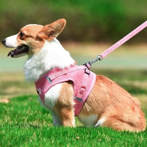 Dog Harness Vest With Walking Lead Leash Adjustable Puppy Kitten Cat Collar Harness For Small Medium Dogs Pet Harness