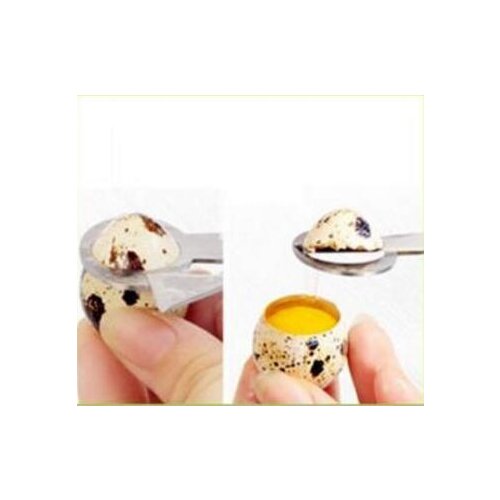 Me Before You Egg Devices