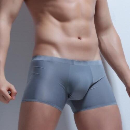 100% Real Photos Top Quality Plus Size M L XL XXL XXXL Ultra thin Sheer Ice Silk Man Panties Underwear Boxer Shorts Trunck MP043