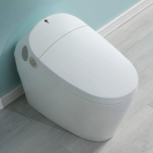 KASG Bathroon WC Automatic Electronic Bidet Intelligent Smart Toilet for Home--DV201GV