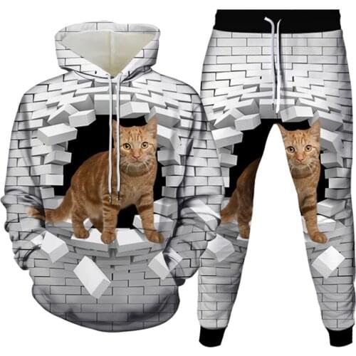 Autumn Spring Creative Breaking Wall Black Hole Eye Animal Cat 3D Print Men Tracksuit Women Casual Hoodies+Jogger Pants 2PcsSet