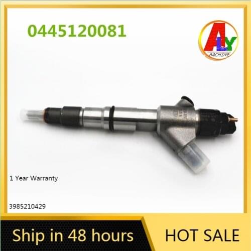 Injector 0445120081 Common Rail 00986ad1001 for Bosch System