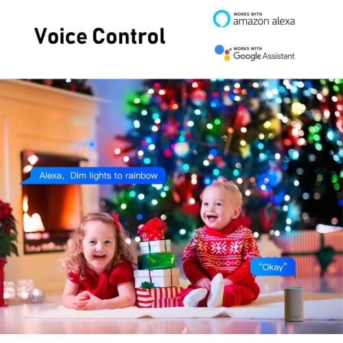 Tuya Smart WiFi LED Fairy Lights Dream Color Night Light Christmas Halloween Decoration Work With Amazon Echo/ Google Home