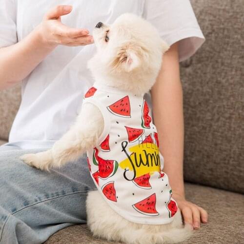 Watermelon mesh vest Teddy dog clothes cat summer small dog thin pet Bichon Hiromi spring and summer clothes
