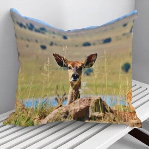 A deer playing peek a boo Throw Pillows Cushion Cover On Sofa Home Decor 45*45cm 40*40cm Gift Pillowcase Cojines Dropshipping