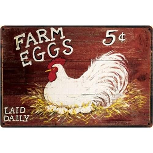 Laid Dally Fresh Eggs Metal Tin Sign 8x12inch Home KItchen Bar Pub Farm Wall Decor