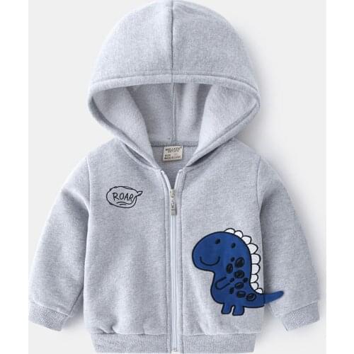 Hollead Hoodies For Boys
