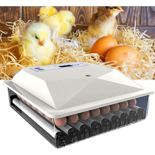 Newest High Quality 36 Egg Incubators Free Shipping Automatic Chicken Eggs Incubator Hatchery Machine Bird Quail Brooder