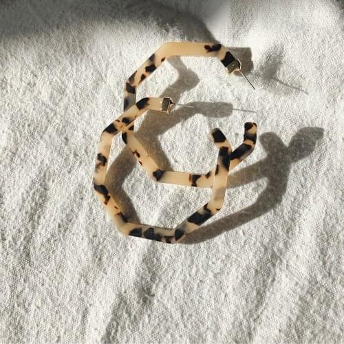 Vintage Leopard Acetate Resin Geometric Large Polygonal Stud Earrings For Women Acrylic Tortoiseshell Pendientes Wedding Jewelry