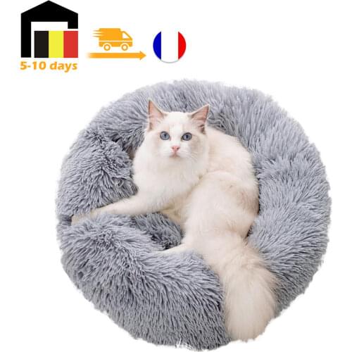PAWING Cat Pillows China
