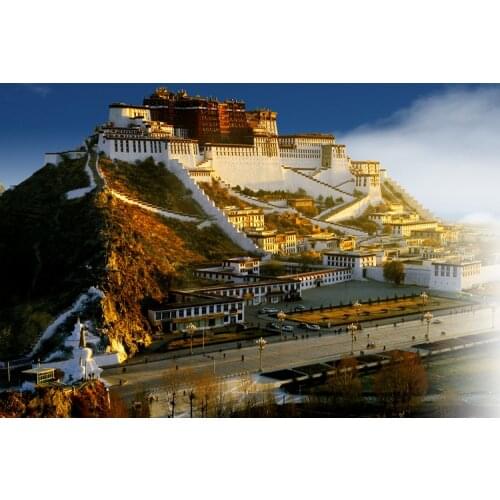 Potala Palace The wooden puzzle 1000 pieces ersion paper jigsaw puzzle white card adult childrens educational toys