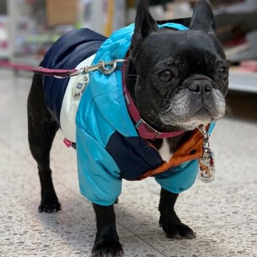 Winter Warm Dog Clothes Waterproof Big Dog Down Jacket for Small Medium Large Dogs French Bulldog Pug Hooded Coat Pets Clothing