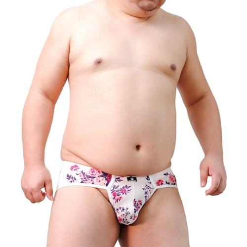 2018 New Arrival Bear Claw Paw Underwear Plus Size Underwear Mens Sexy Briefs Gay Proud Shorts Designed For Gay Bear M L XL XXL