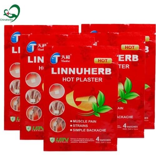 10 Bags/40 Pcs Tianhe Path Chinese Medicine Pansement Relieve Pain Gout Joint Soreness Pain Back Muscles Capsici Fuctus Plaster