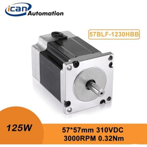 ICAN 125W 24volt 40Ncm 3000RPM High Power BLDC Motor
