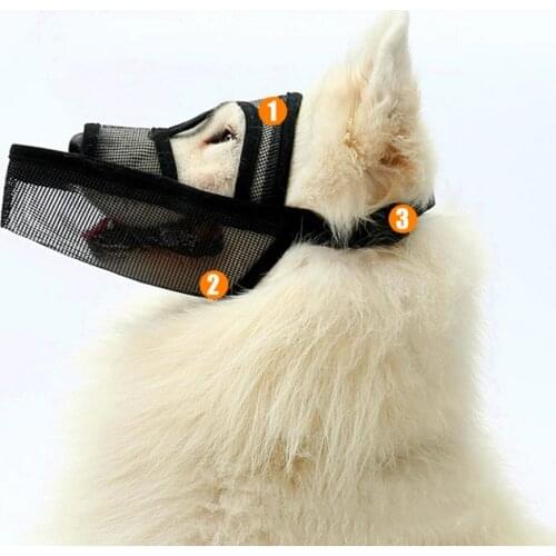 Yingte Dog Accessories