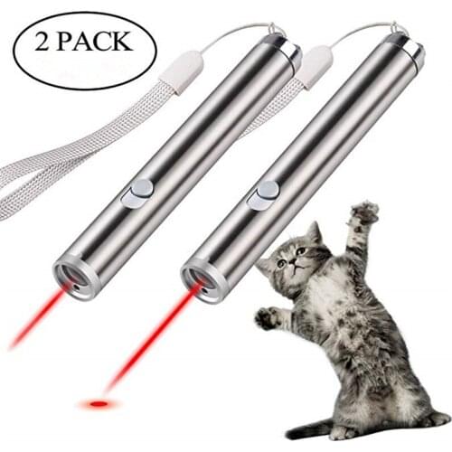 2Pcs/Lot Multifunctional Laser Sight Pen Chaser Toys For Pet Interactive Play Toy With Led Light Flash Outdoor Training Tools