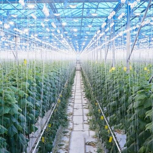 2Pack 15m/49ft Garden Planting Tomato Hooks Vegetable Support Clips For Planting