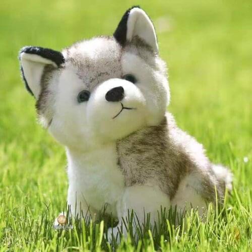 Simulation Huskies cute dog doll plush toy doll white Papa dog doll birthday gift girl