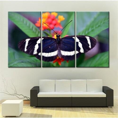 3 Pieces Drop Shipping Realist Animal Bird Decorative Paintings Canvas Wall Art Pictures for Living Room Decor No Frame