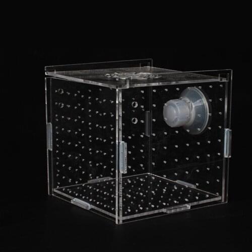 Transparent Acrylic Fish Tank Breeding Isolation Box Single Double Multi Grid Aquarium Hatchery Incubator Holder Fish House